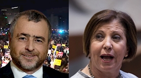 זהבה גלאון ושמעון ריקלין, צילום: הדס פרוש פלאש90 ופייסבוק